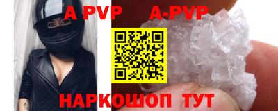 герыч Кингисепп