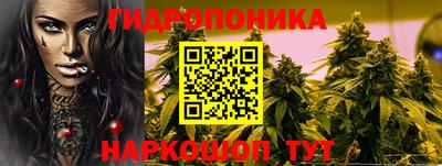 герыч Кингисепп