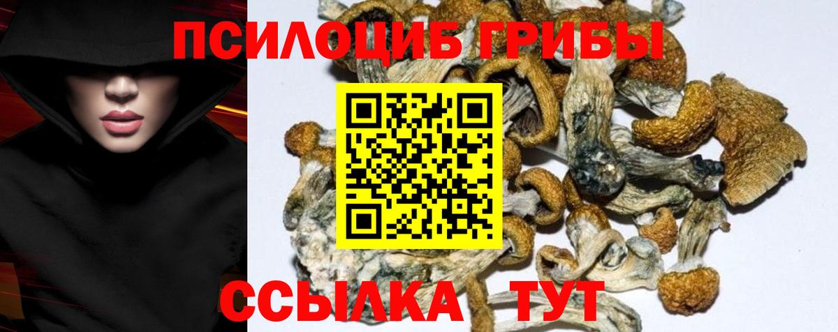 Псилоцибиновые грибы GOLDEN TEACHER Шарыпово