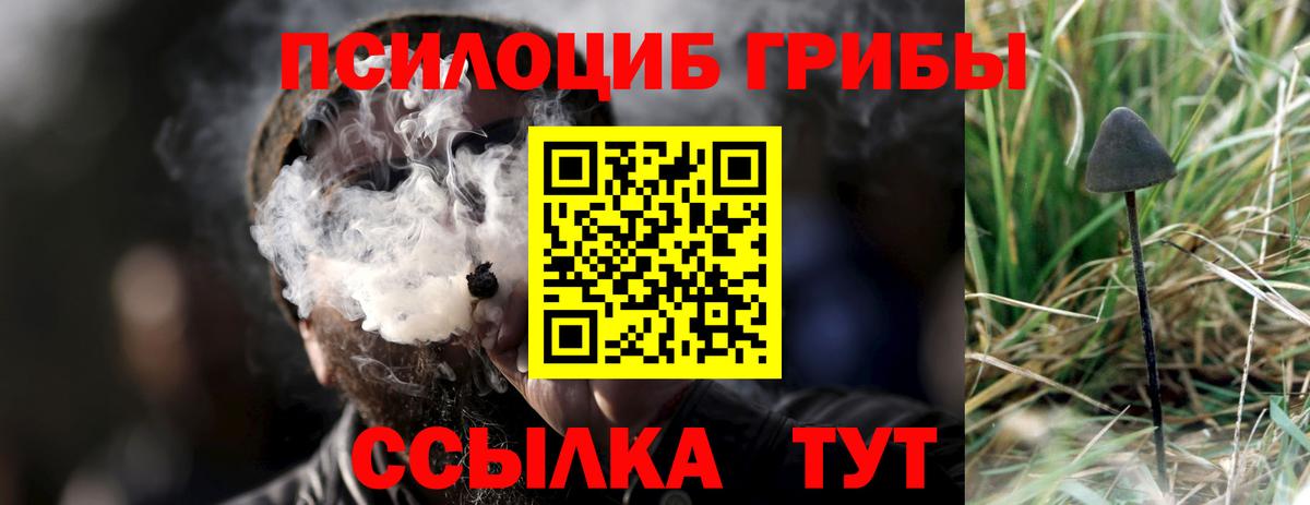 Псилоцибиновые грибы Psilocybe  Вход с VPN  Шарыпово 